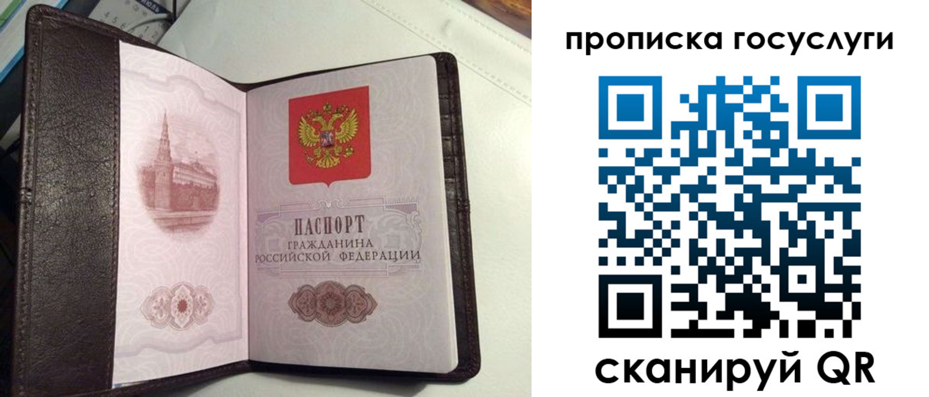 временная прописка в Зеленоградске